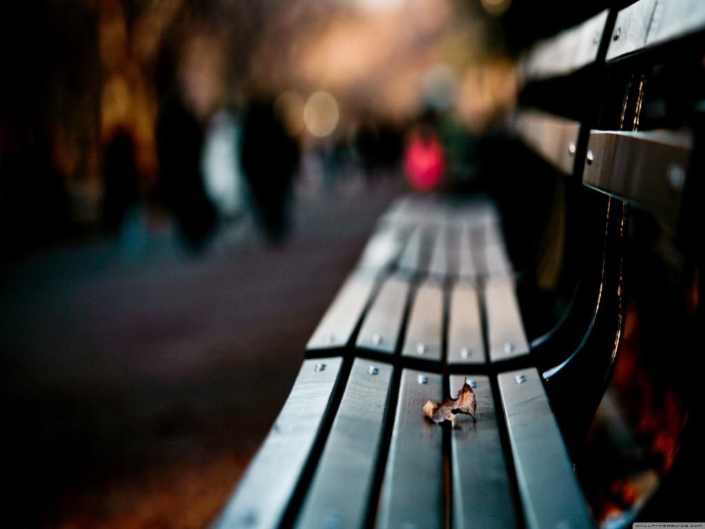 Image of a park bench