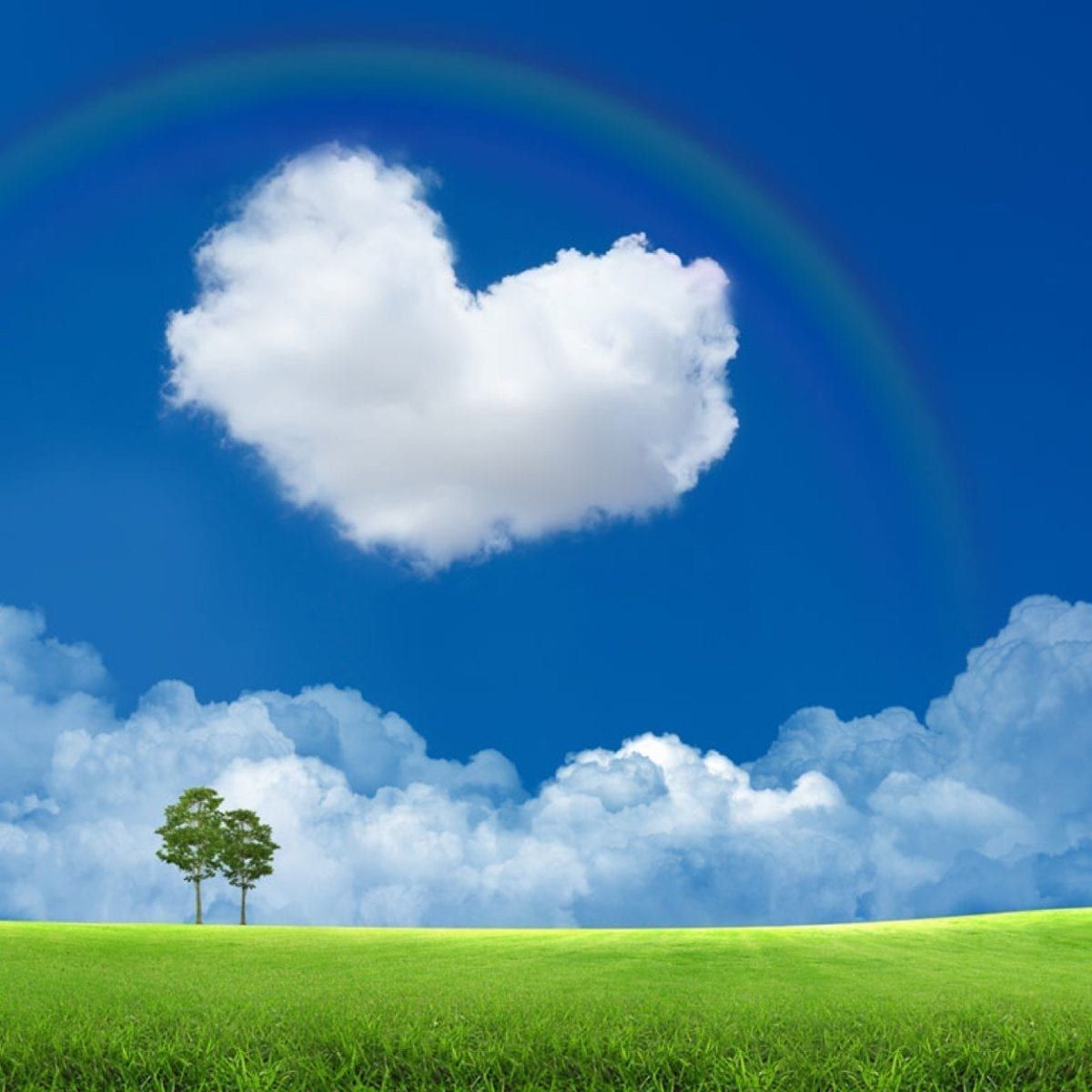 Image of a field with a cloud in the shape of a heart